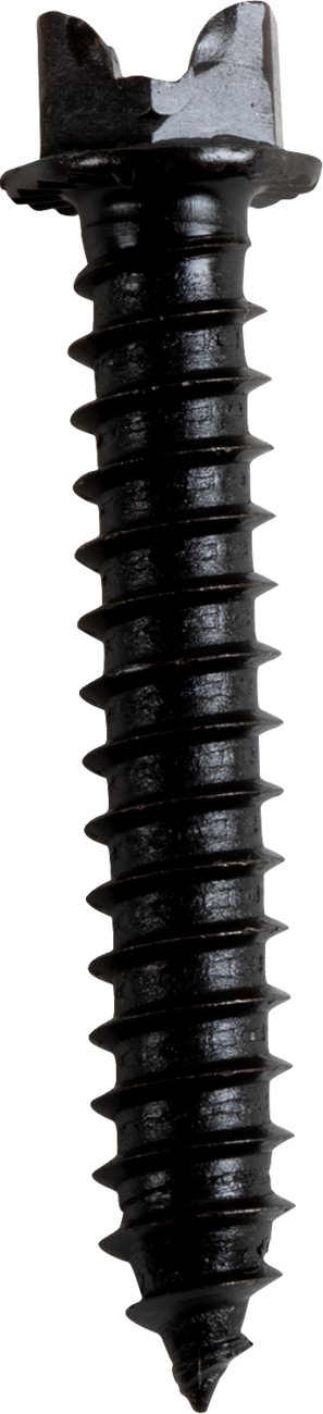 AMA Race Legal Traction Screws
