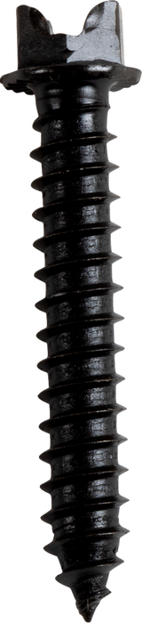 AMA Race Legal Traction Screws