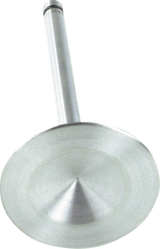 Replacement Stainless Steel Valves for S&S Heads