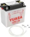 Conventional Battery — 12 V