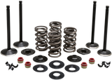 Engine Valve Kit