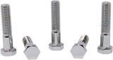 Replacement Hex-Head Bolts