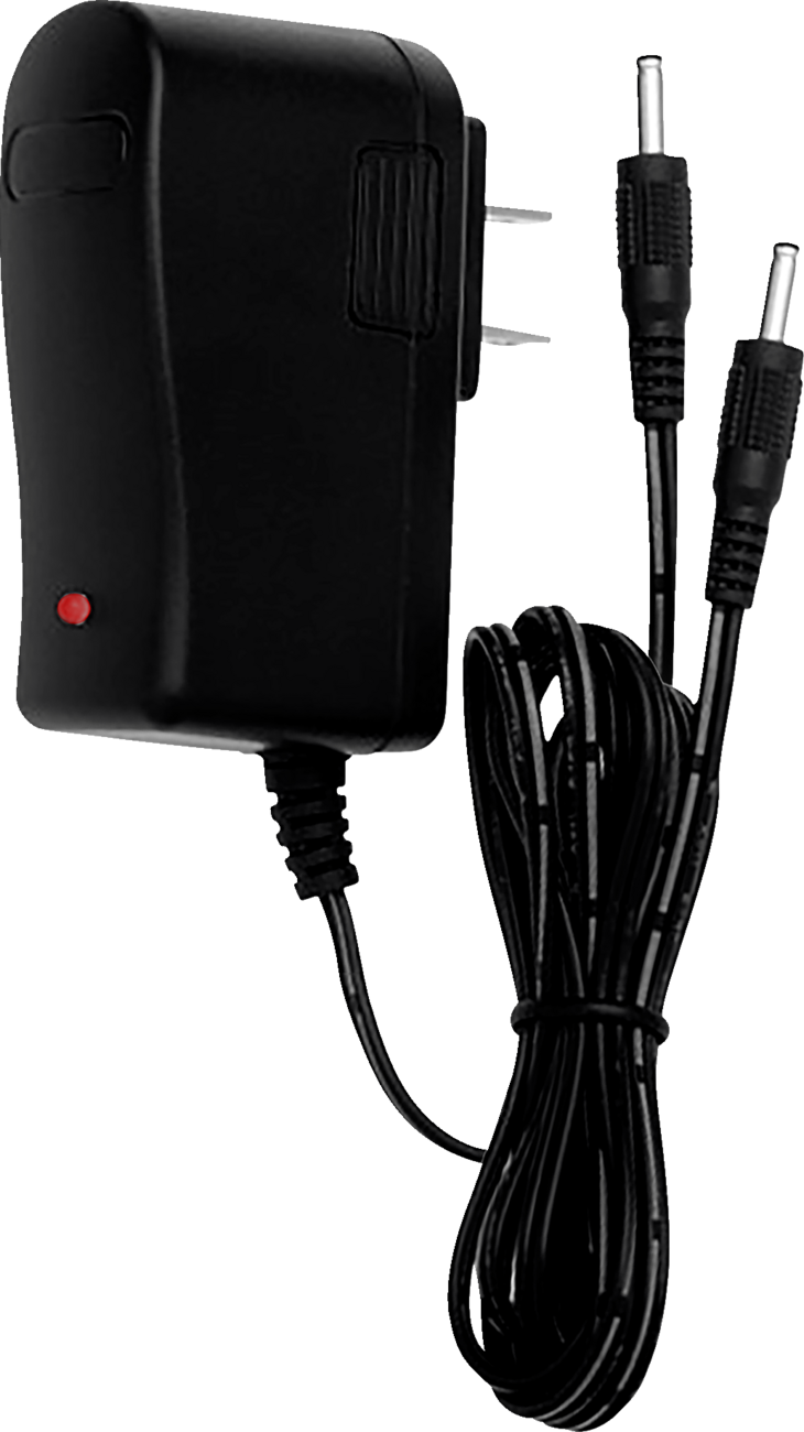 Dual Wall Charger