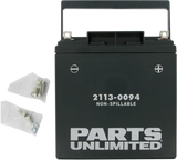 Factory-Activated AGM Maintenance-Free Battery