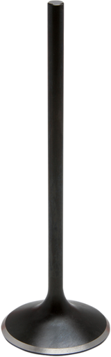 Nitrided Valve