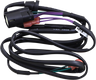 Tour-Pak® Rear Speaker Harness