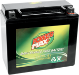 Maintenance-Free Battery