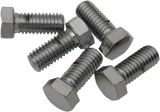 Replacement Hex-Head Bolts