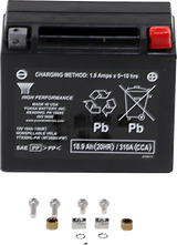 High Performance AGM Maintenance-Free Battery