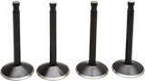 Black Diamond™ Engine Valve Kit