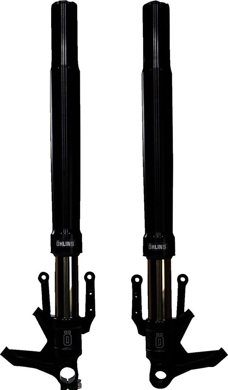 Blackline Fork