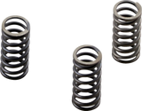 CSK Series Heavy Duty Clutch Spring Kit