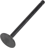 Nitrided Valve