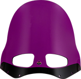 Kolor Flare® Windshield for Road Warrior Fairing