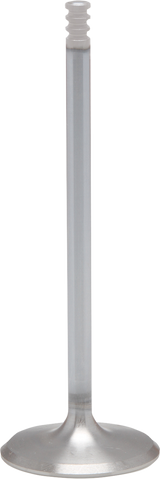White Diamond® Engine Valve