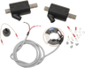 Ignition and Coil Kit