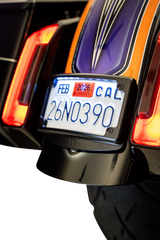 License Plate Kit