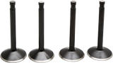 Black Diamond™ Engine Valve Kit
