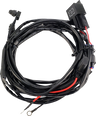 Wire Harness with Switch
