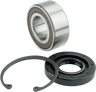 Primary Bearing Upgrade Kit