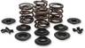 OEM Replacement Valve Spring Kit