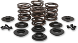 OEM Replacement Valve Spring Kit