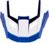 Youth Dirt Maxx Helmet Visor Kit — Vortex