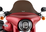 Windshield