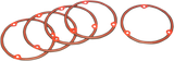 Derby/Inspection Cover Gasket Kit