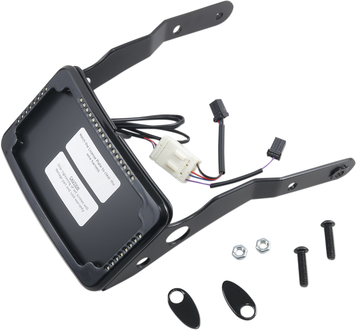 Curved License Mount with Frame