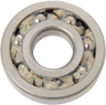 Transmission Door Bearing