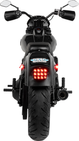 Carbon Fiber Rear Fender For M8 Softails