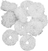 Breather Filter Element