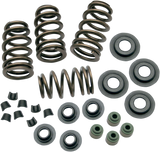 0.650" Sidewinder® Valve Spring Kit