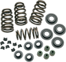 0.650" Sidewinder® Valve Spring Kit