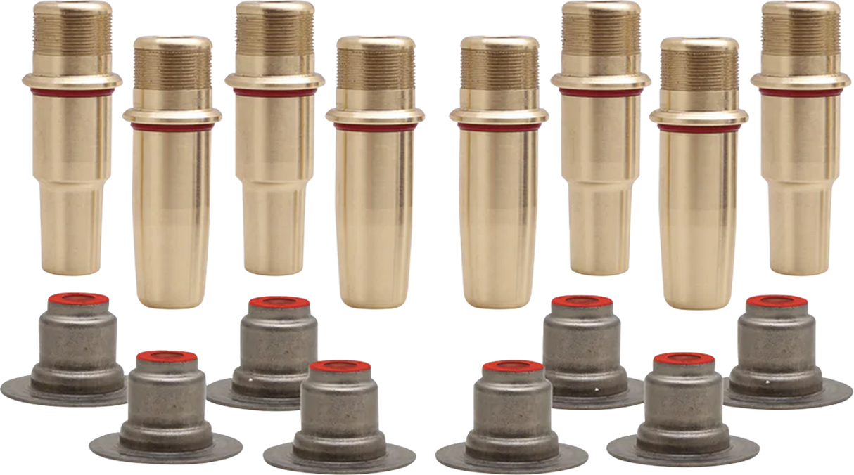 Valve Guide Kit