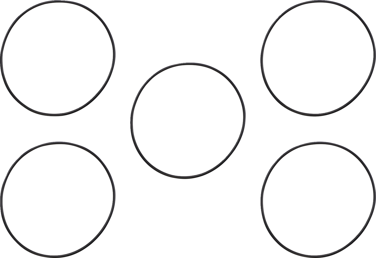 Derby/Inspection Cover Seal Kit