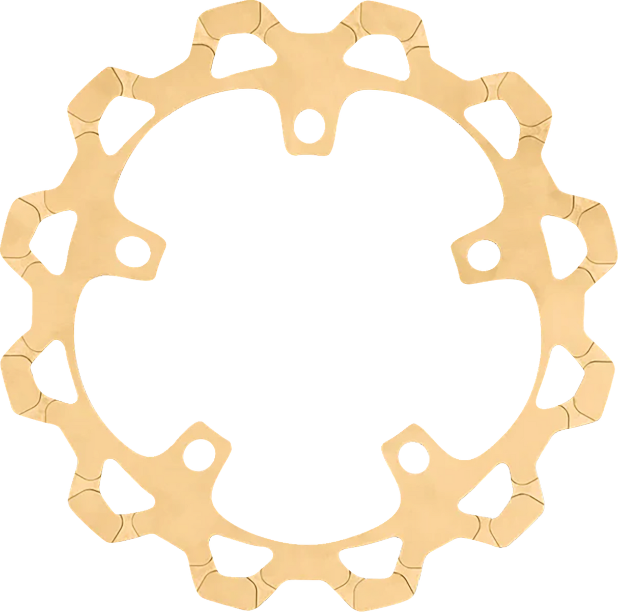 Front Brake Rotor