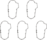 Primary Gasket Kit
