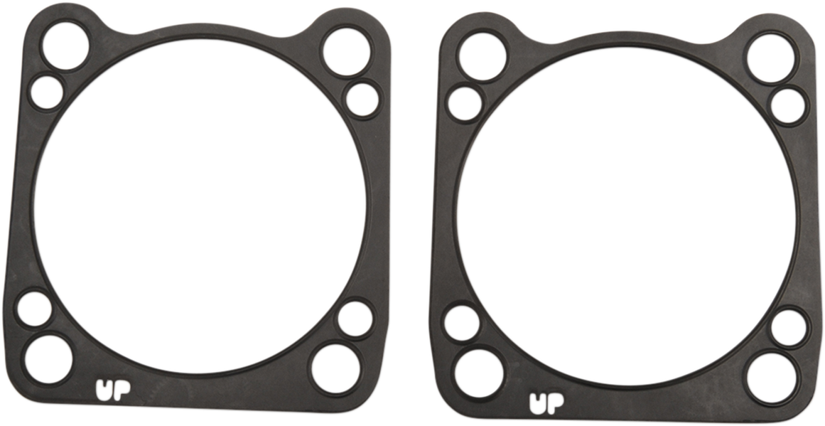 Cylinder Base Gasket