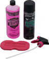 Motorcycle Care Kit - Cleaner/Spray Duo with Sponge