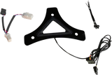 Dual Intensity Run & Brake Backrest LED Light