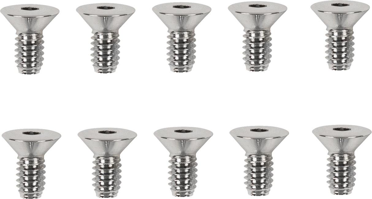 Derby/Inspection Covers Only Screw Set