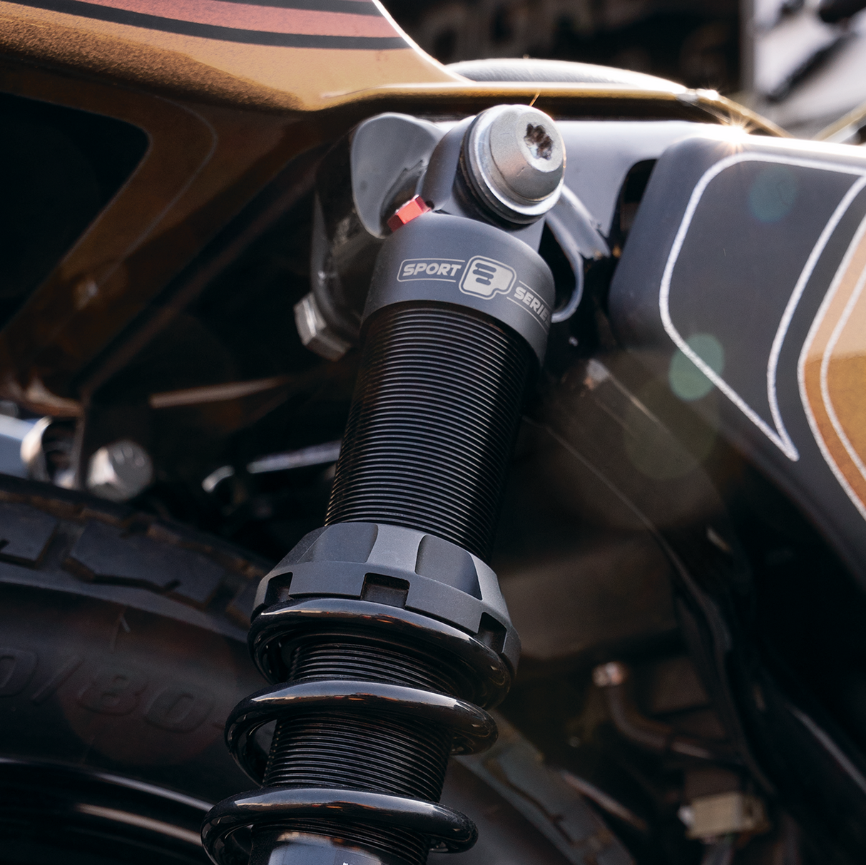 494 Sport Series Shocks