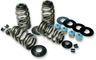 Econo Beehive® Valve Spring Kit