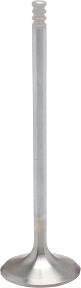 White Diamond® Engine Valve