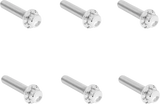 Transmission Side Cover Titanium 12-Point Bolt Kit