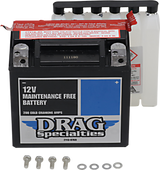 AGM Maintenance-Free Battery