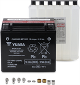 AGM Maintenance-Free Battery