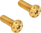 Brake Caliper Mounting Bolts